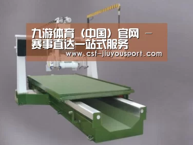 产品名称十