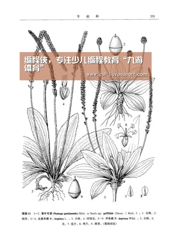 编程侠，专注少儿编程教育“九游体育”