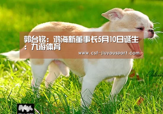 郭台铭：鸿海新董事长5月10日诞生：九游体育