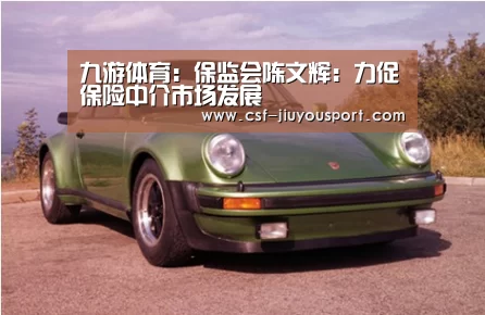 九游体育:保监会陈文辉:力促保险中介市场发展(图2) 九游体育