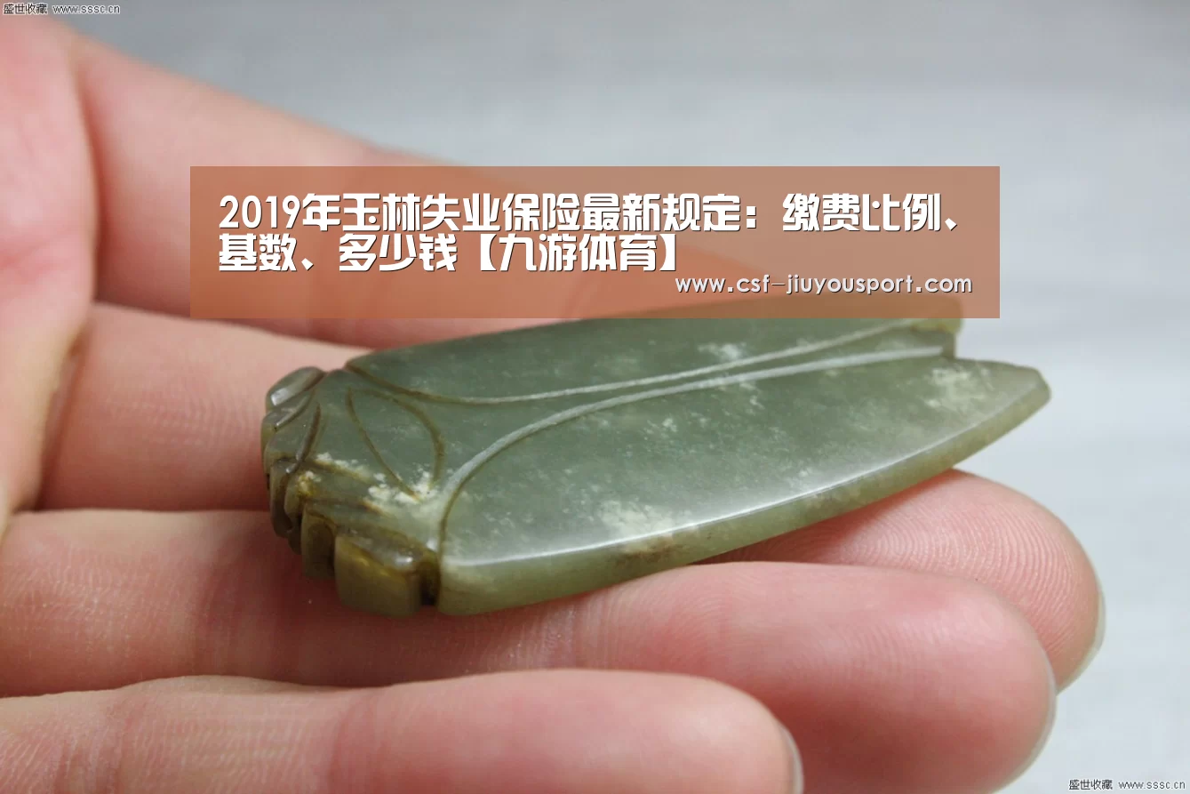 2019年玉林失业保险最新规定:缴费比例、基数、多少钱【九游体育】(图2) 九游体育