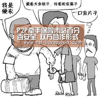 P2P牵手保险未必百分百安全 双方合作形